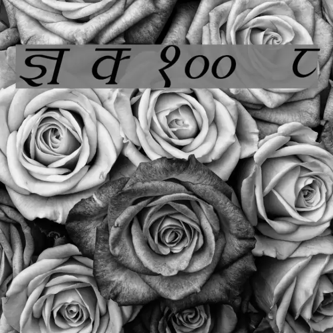 Kruti Dev 100  Italic Font examples