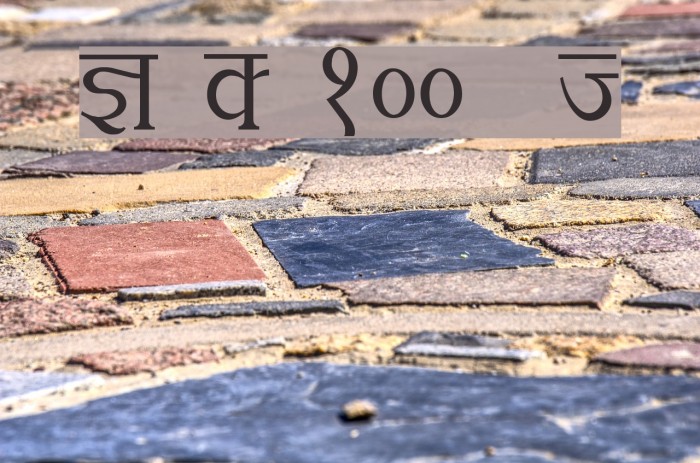 Kruti Dev 100  Thin Example 1