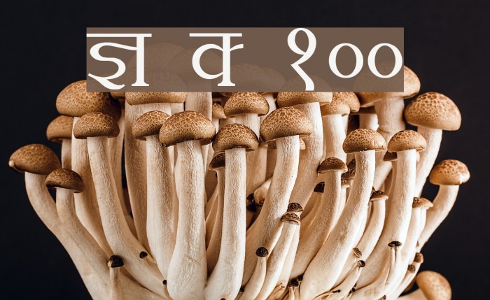Kruti Dev 100 Font examples