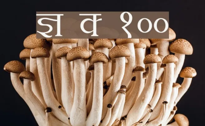 Kruti Dev 100 Example 1
