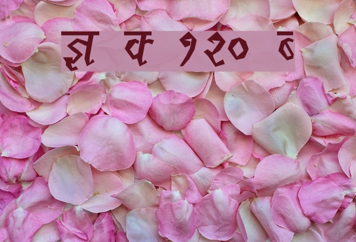 Kruti Dev 120 Condensed Font examples