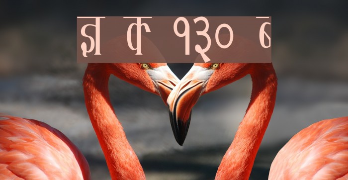 Kruti Dev 130 Condensed Font examples