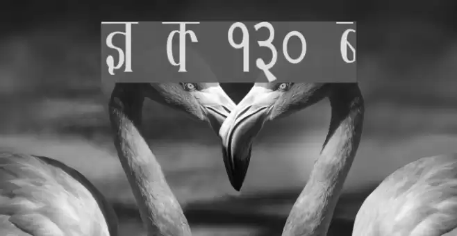 Kruti Dev 130 Condensed Fonte examples