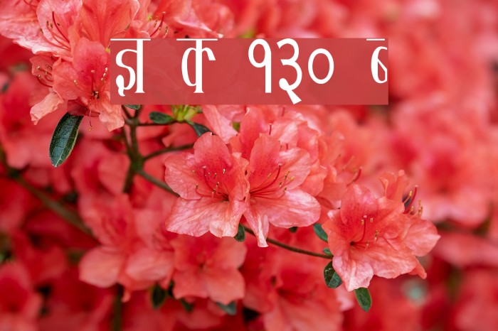 Kruti Dev 130 Condensed Font examples