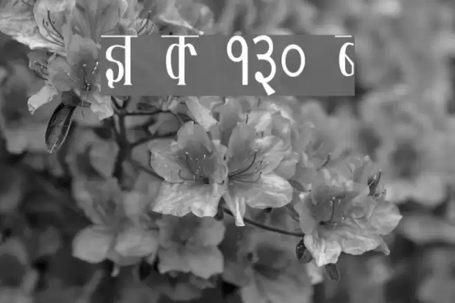 Kruti Dev 130 Condensed Fonte examples