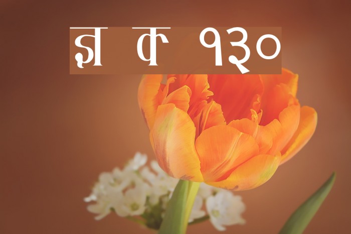 Kruti Dev 130 Example 2