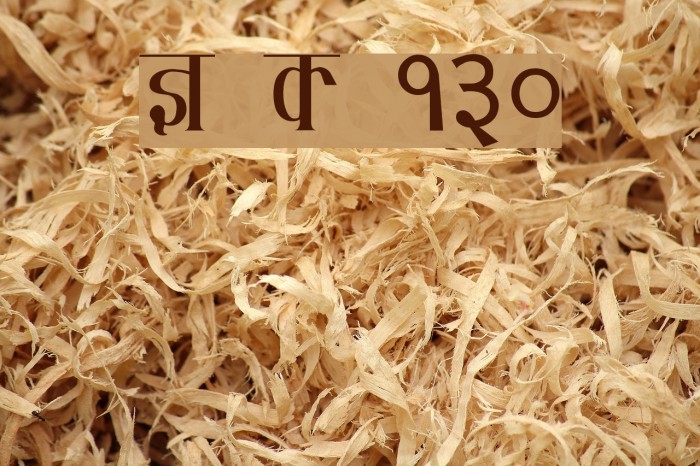 Kruti Dev 130 Example 3