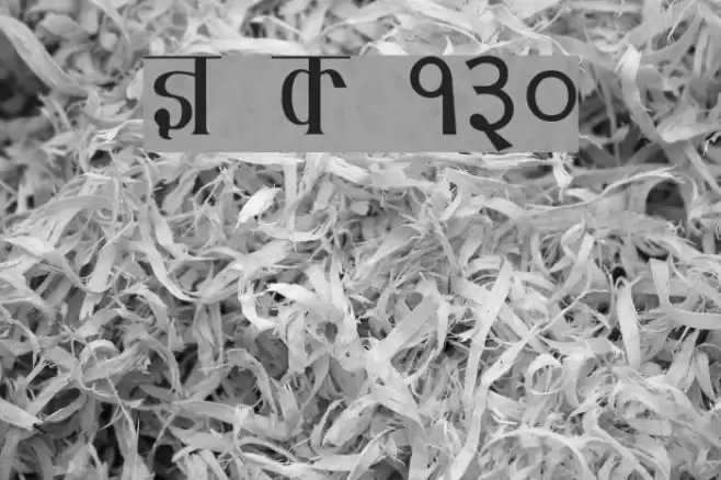 Kruti Dev 130 Font examples