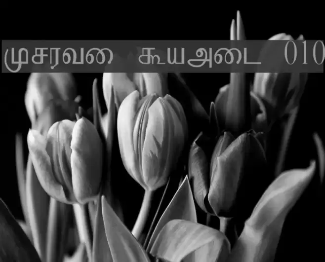 Kruti Tamil 010 Font examples