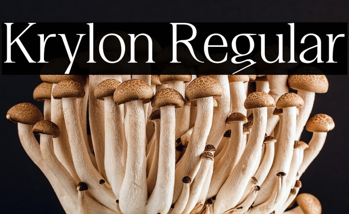 Krylon Regular Example 1