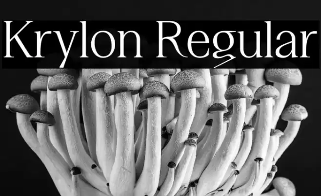 Krylon Regular फ़ॉन्ट examples