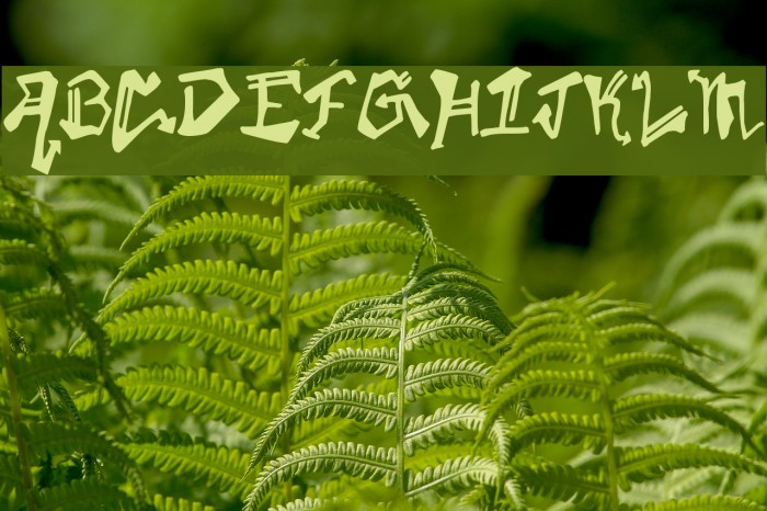KrylonGothic Font examples
