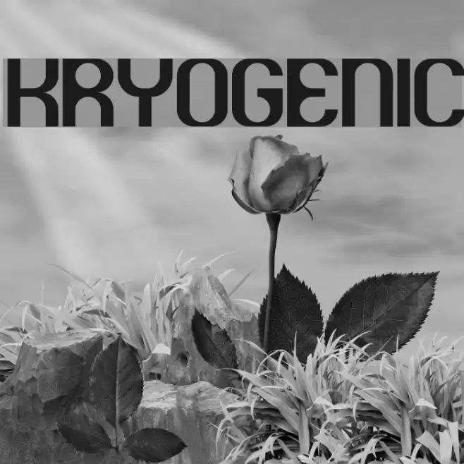 Kryogenic Polices examples