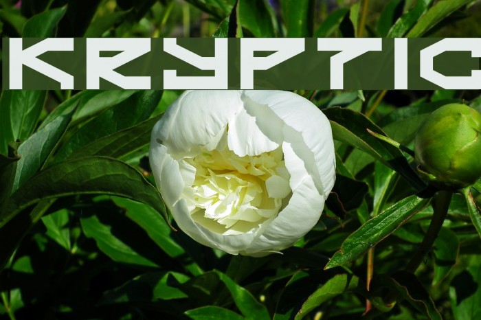Kryptic Font examples