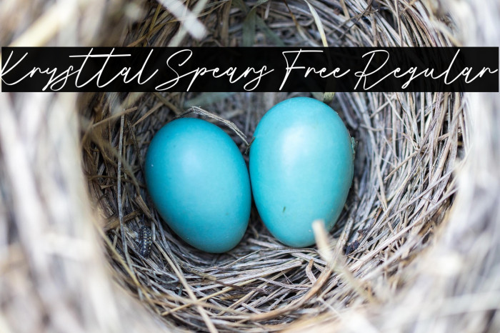 Krysttal Spears Free Regular Example 2