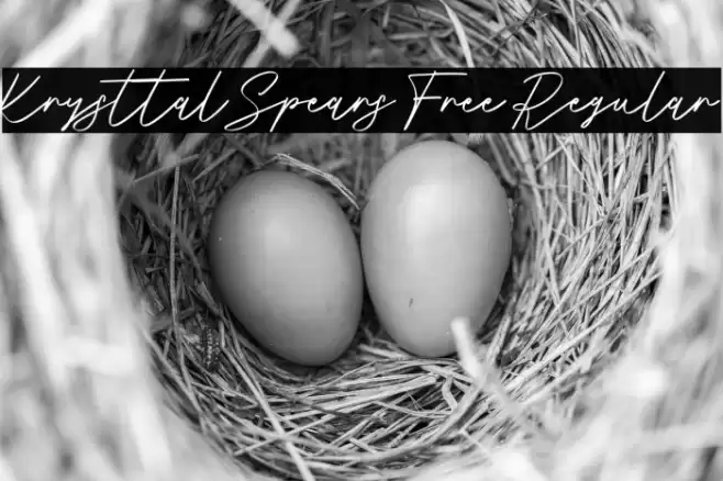 Krysttal Spears Free Regular Font examples