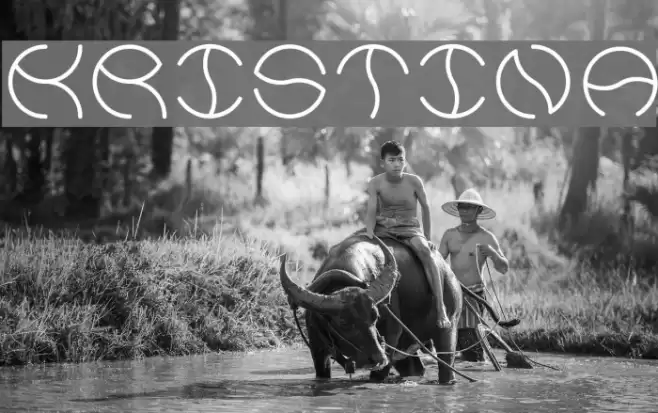 kristina Font examples