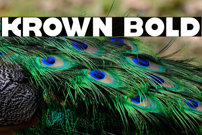 krown Bold Example 1