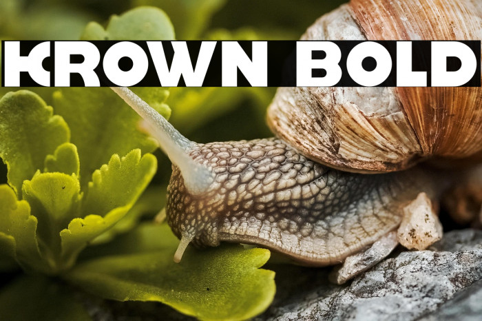 krown Bold Example 2