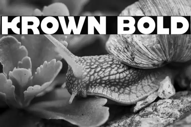 krown Bold Font examples