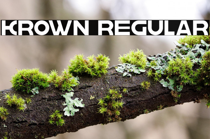 krown Regular Example 1