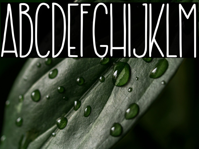 krusty craft Example 2