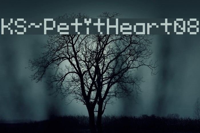 KS-PetitHeart08 Font examples