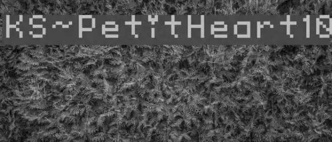 KS-PetitHeart10 Font examples