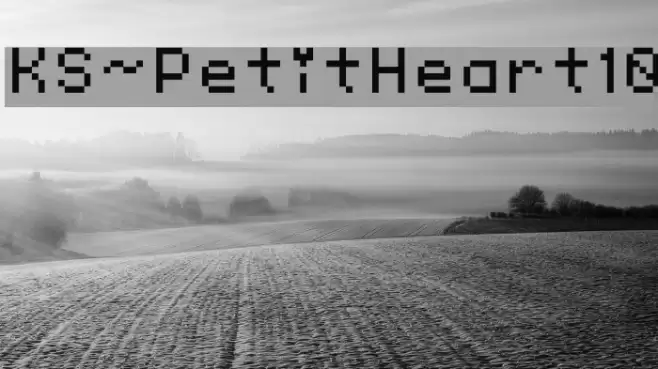 KS-PetitHeart10 Font examples
