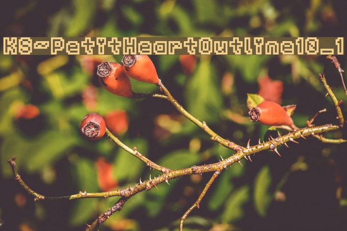 KS-PetitHeartOutline10_1 Example 1