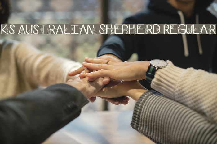Ks Australian Shepherd Regular Font examples