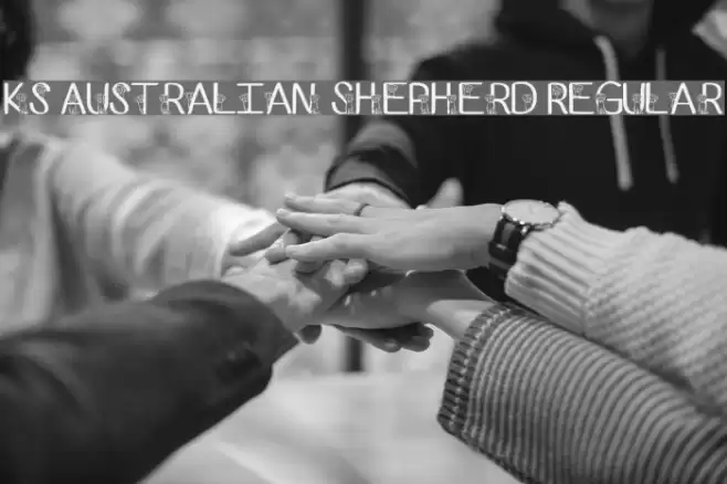 Ks Australian Shepherd Regular Font examples