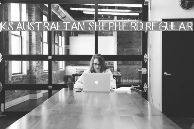 Ks Australian Shepherd Regular Font examples