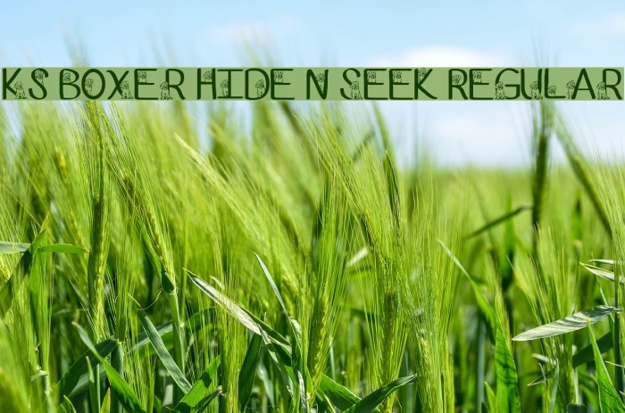 Ks Boxer Hide N Seek Regular Font examples