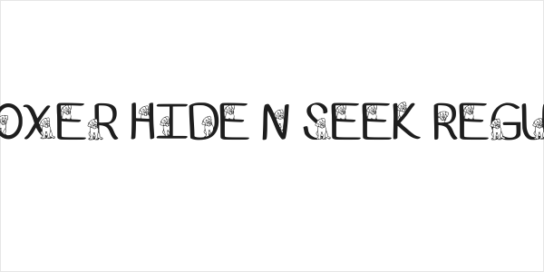 Ks Boxer Hide N Seek Regular Logo