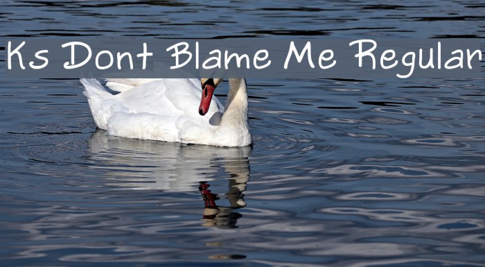 Ks Dont Blame Me Regular फ़ॉन्ट examples
