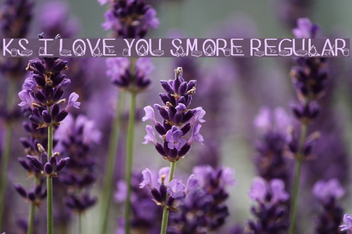 Ks I Love You Smore Regular Example 1