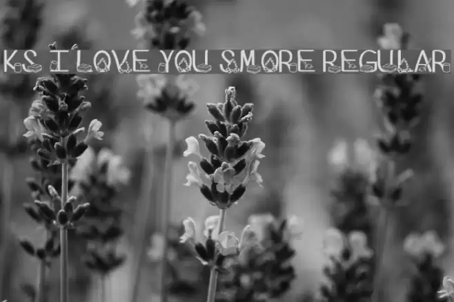 Ks I Love You Smore Regular Font examples
