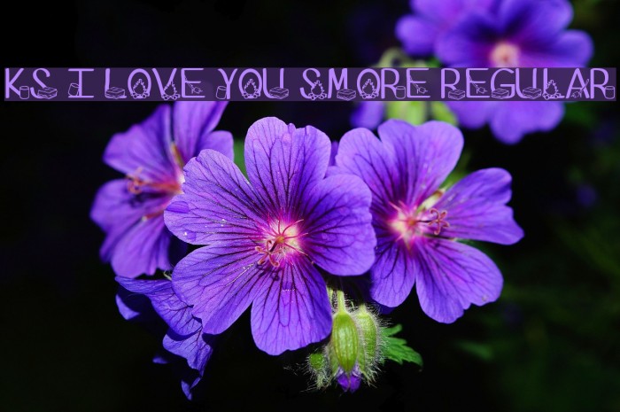 Ks I Love You Smore Regular Example 3