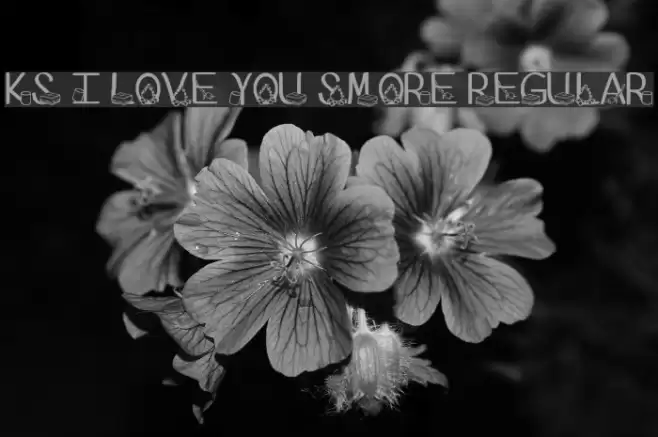 Ks I Love You Smore Regular Font examples