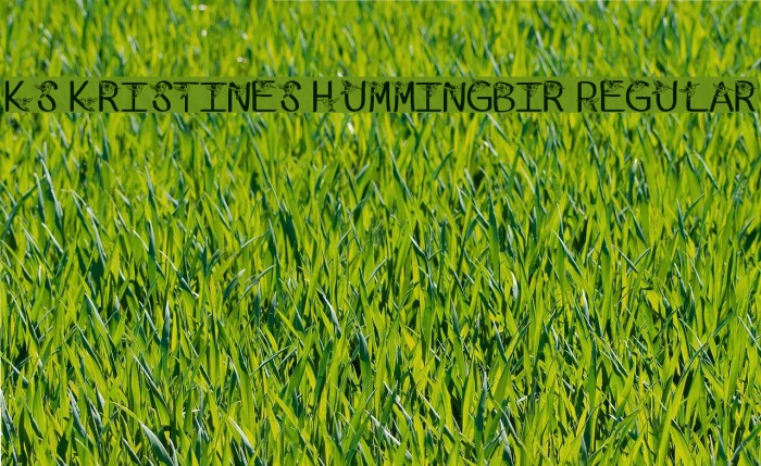 Ks Kristines Hummingbir Regular Font examples