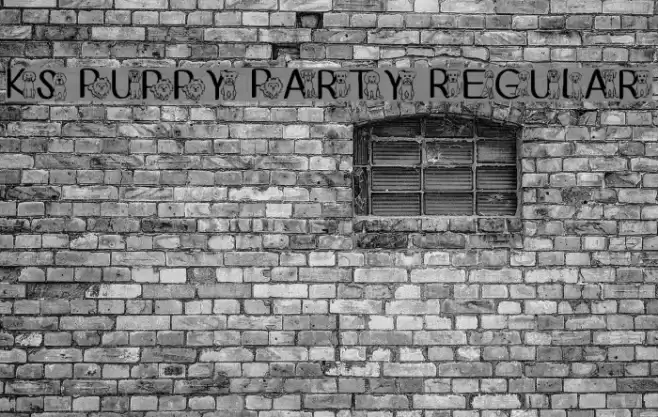 Ks Puppy Party Regular Font examples