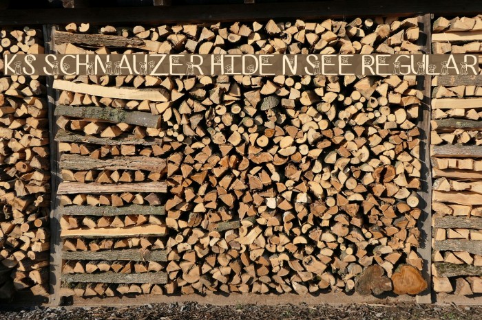 Ks Schnauzer Hide N See Regular Font examples