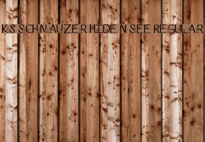 Ks Schnauzer Hide N See Regular Font examples