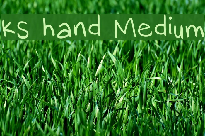 ks hand Medium Font examples