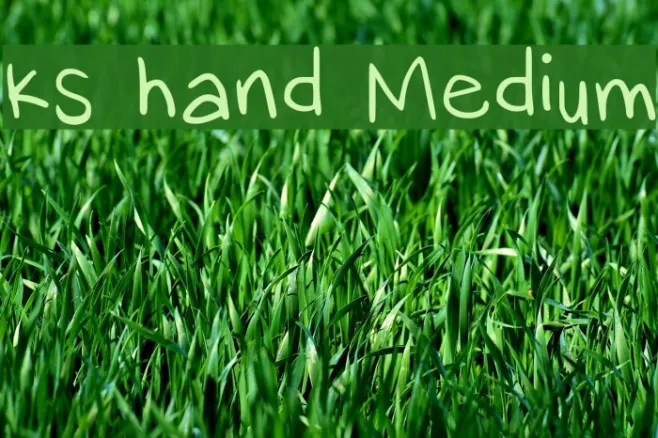 ks hand Medium Example 3