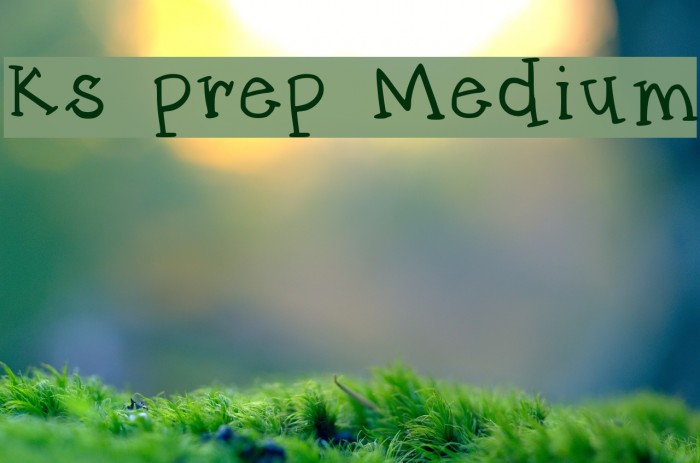 ks prep Medium Font examples