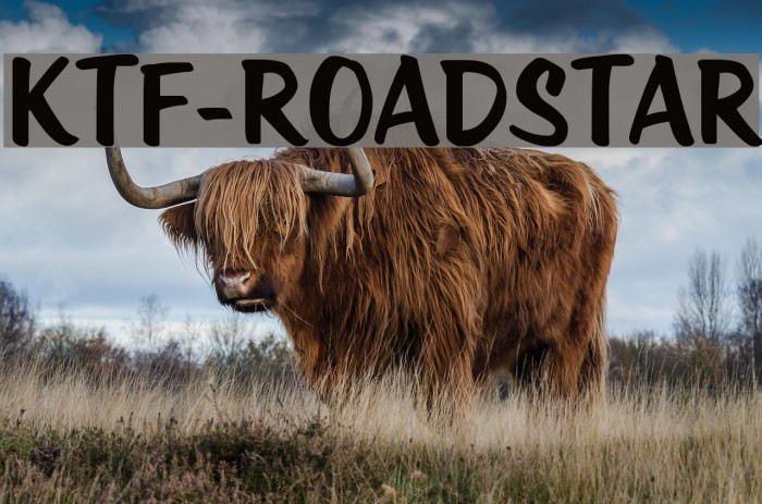 KTF-Roadstar Font examples