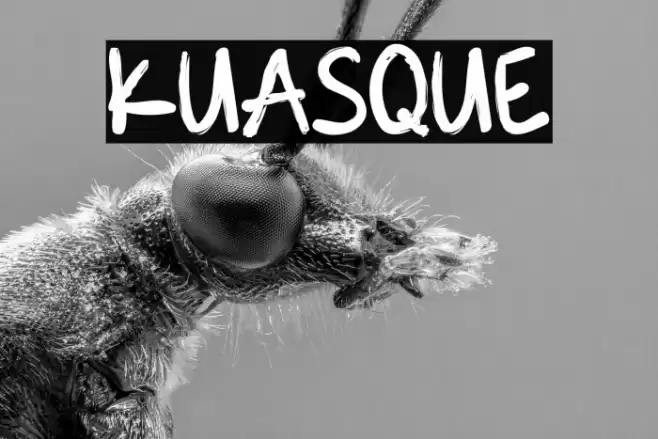 KUASQUE Font examples