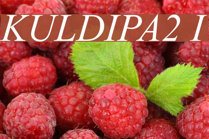 KULDIPA2 Italic Fuentes examples